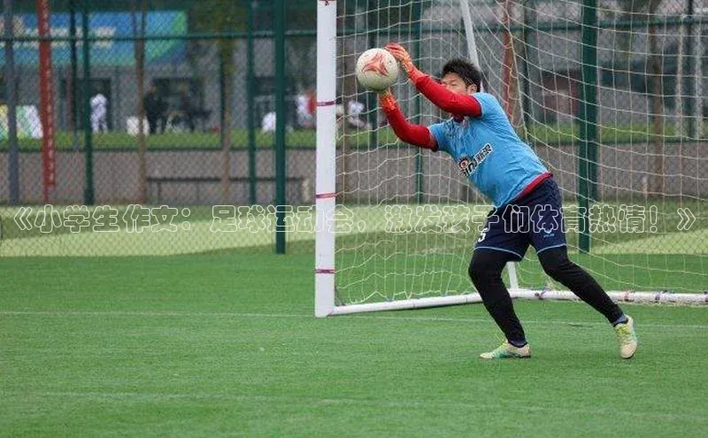 半岛·体育中国官方网汉得信息《小学生作文：足球运动会，激发孩子们体育热情！》