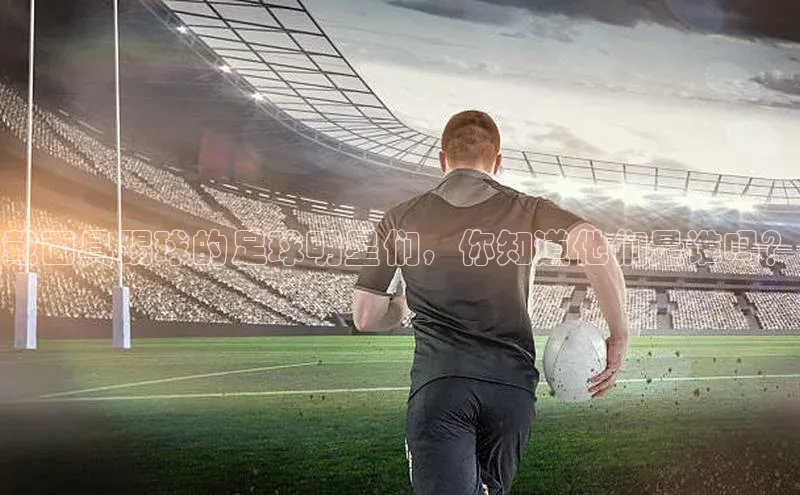 BOB半岛官方网站入口百度学术戴面具踢球的足球明星们，你知道他们是谁吗？