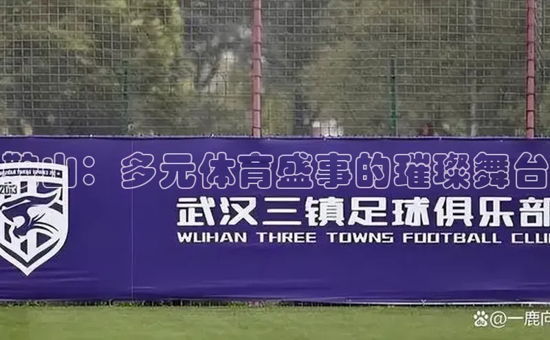 半岛·BOB官方网站下载美团鞍山：多元体育盛事的璀璨舞台