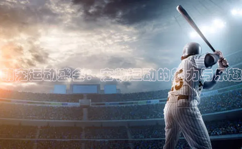 萌宠运动盛会：宠物运动的魅力与乐趣