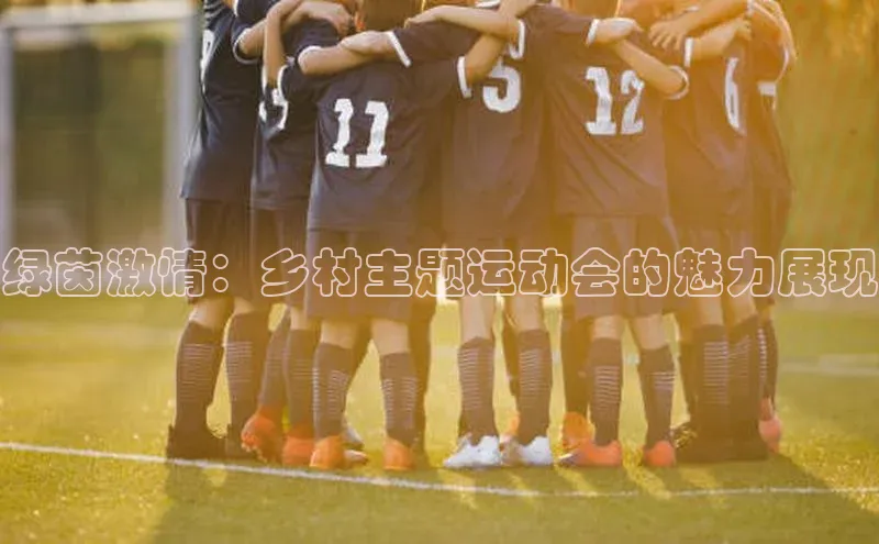 绿茵激情：乡村主题运动会的魅力展现