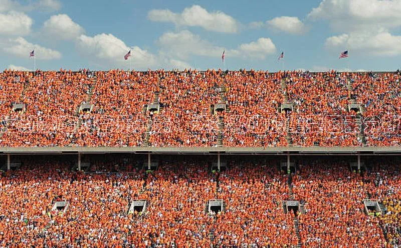 运动赛事的音乐元素：选择歌曲的重要因素分析