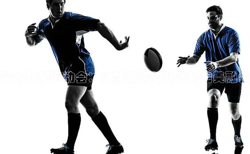 第十四届运动会：汇聚激情与健康的完美融合