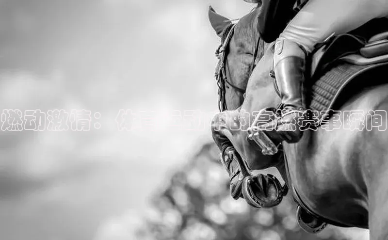 燃动激情：体育运动中的高燃赛事瞬间