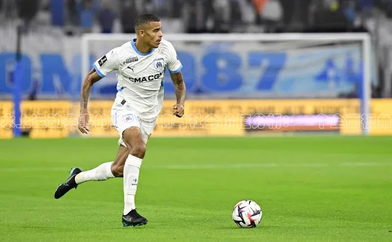 水上运动赛事的经济影响与社会价值分析：一个全面视角