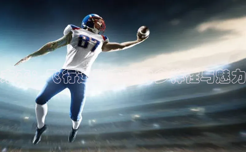 未来：飞行运动赛事的多样性与魅力