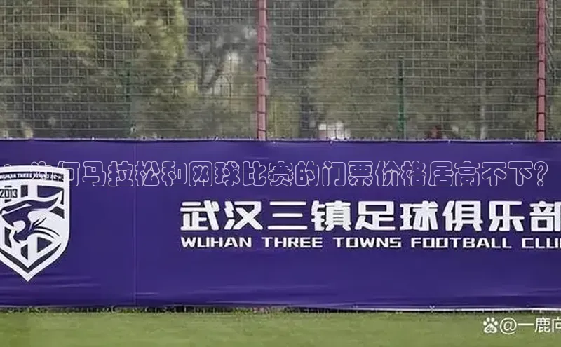 ：为何马拉松和网球比赛的门票价格居高不下？