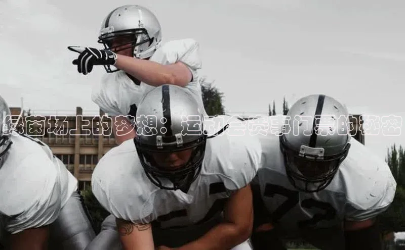 半岛·体育bob官方网站官网