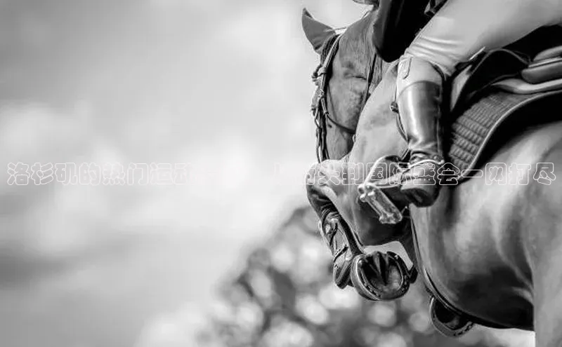 洛杉矶的热门运动赛事：从街头到国际盛会一网打尽