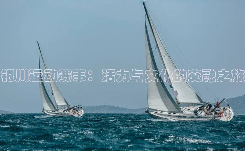 银川运动赛事：活力与文化的交融之旅