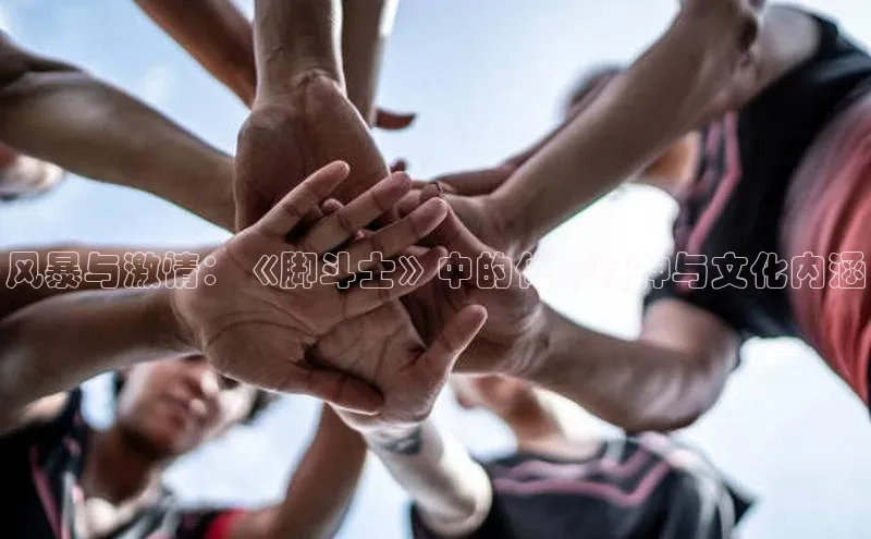 风暴与激情：《脚斗士》中的体育精神与文化内涵