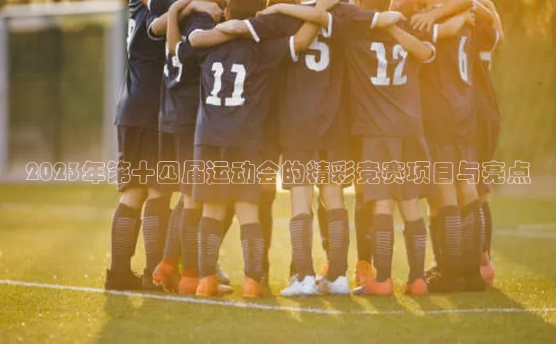 2023年第十四届运动会的精彩竞赛项目与亮点