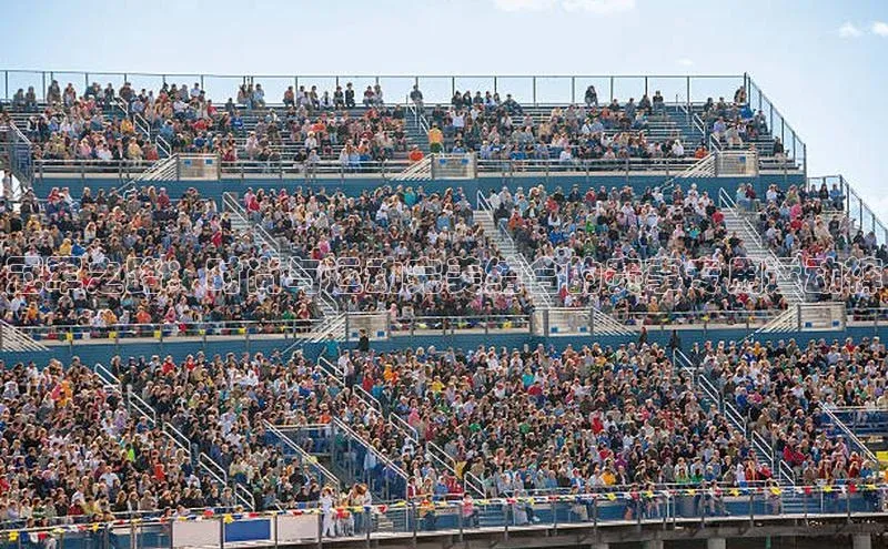 冠军之路：时尚与运动完美结合的赛事专用运动裤