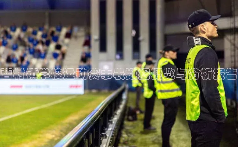 曹村镇学校运动赛事表数据概览与分析报告