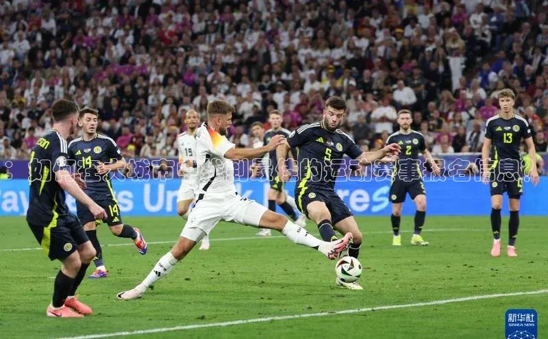 BOB半岛官方网站入口