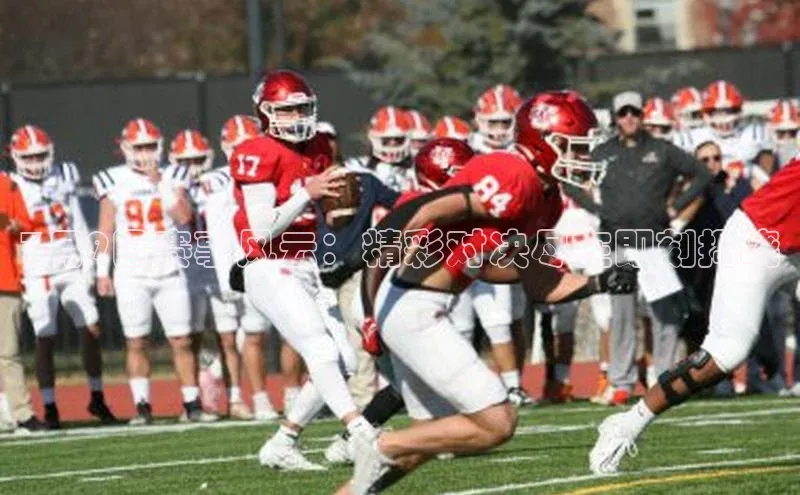 BOB·体育中国官方入口