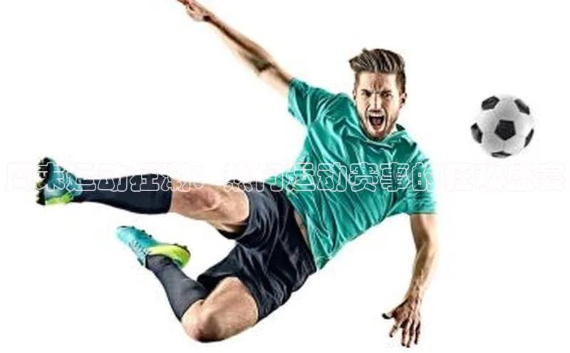 BoB半岛·体育网站