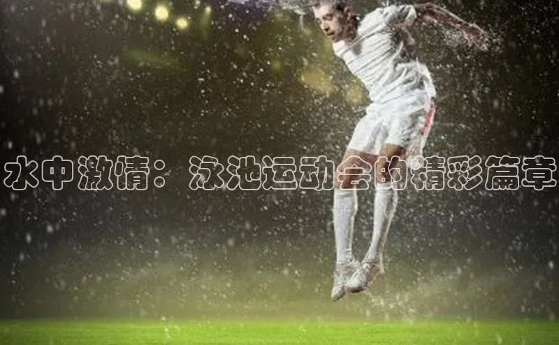 星空半岛·体育官网下载